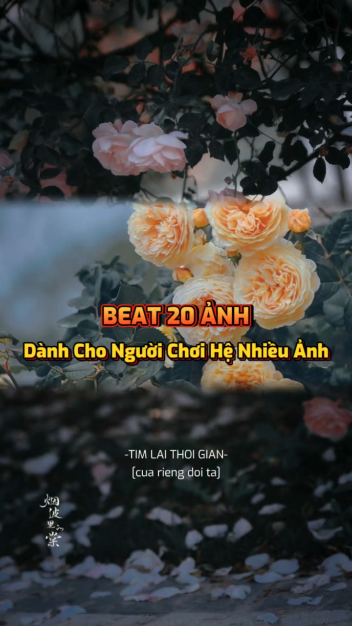 BEAT 20 ẢNH XỊN