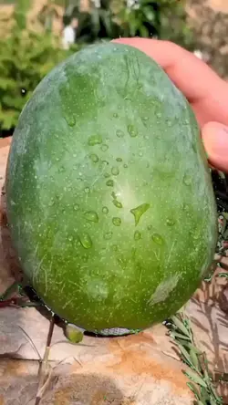 Buah Ajaib