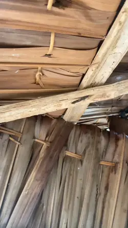 cinematic jajalenaku