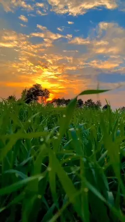 ธรรมชาติบำบัด