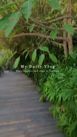 Dailyvlog2