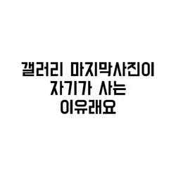 갤러리 마지막사진이 사는 이유