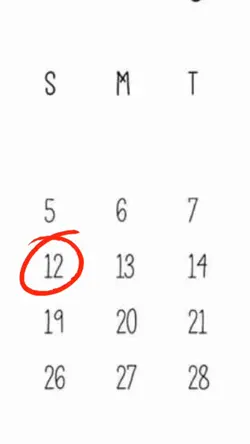 Tamplate Ulang Tahun