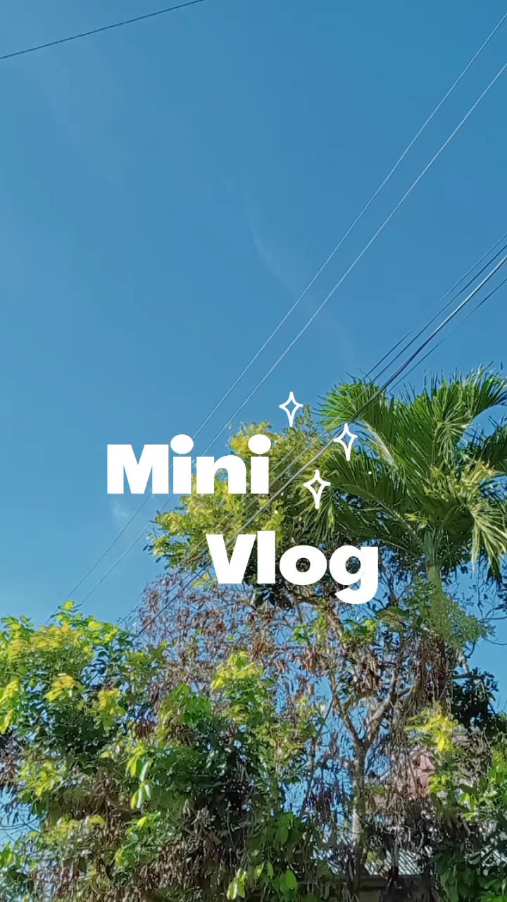 Mini vlog