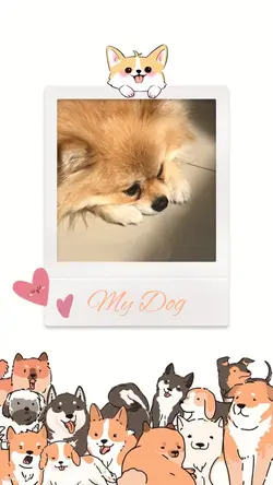1รูปเปลี่ยนชื่อได้ 🐶💖