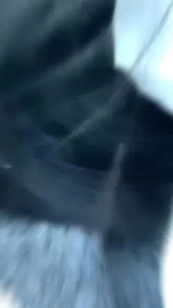 널 사랑할께