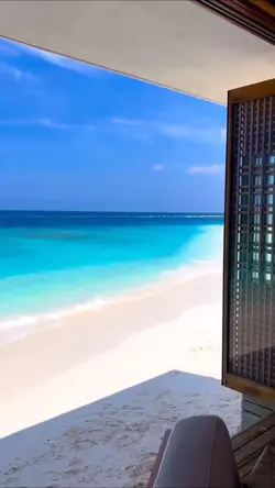 Amazing vlog