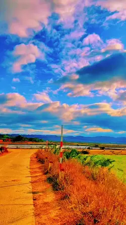 video màu đẹp