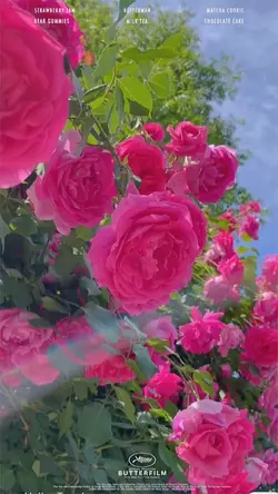 Flowers 🌸