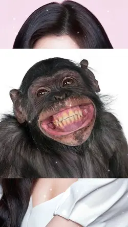 Monkey Face 
