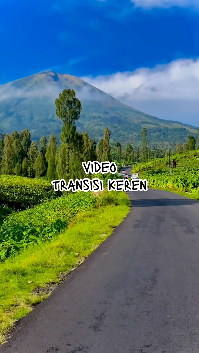 Video transisi