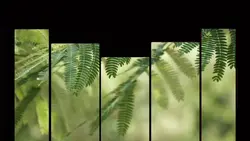 TRANSISI VIDEO KEREN