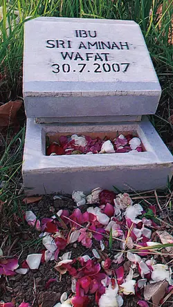 ibu