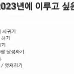 2023년에 이루고 싶은 것