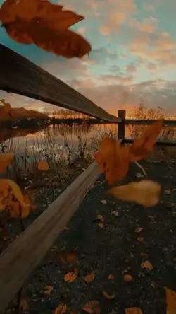 vlogmini