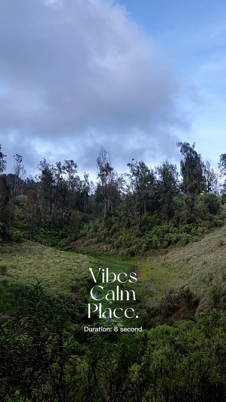 Lugar Calmo