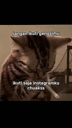 moots ig?