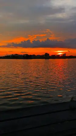 Filter senja