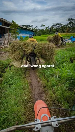Wong Ngaret Bangga