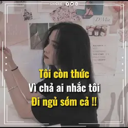 Stt Video Fb