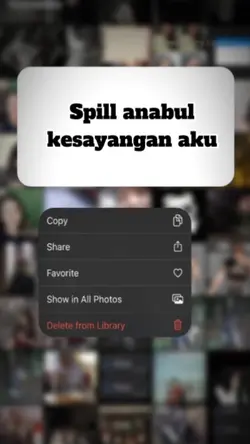 spill anabul