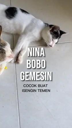 Lagu Nina Bobo Lucu