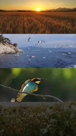 4 Videos ❤️
