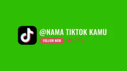 green screen tiktok