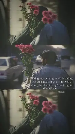 share vd