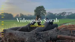 Cinematic sawah