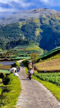 mentahan.video