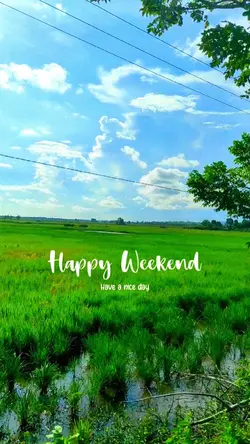 Happy Weekend