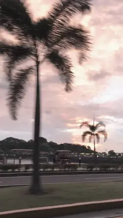 กำลังฮิตในติ๊กต๊อก