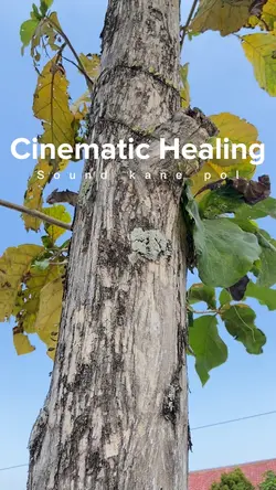 Cinematic Hiling