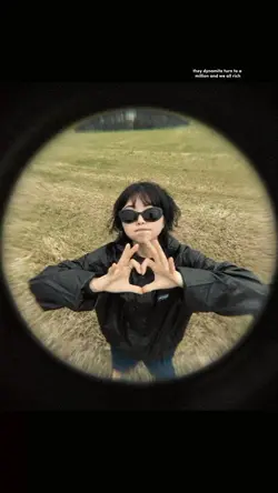 moneytrees fisheye