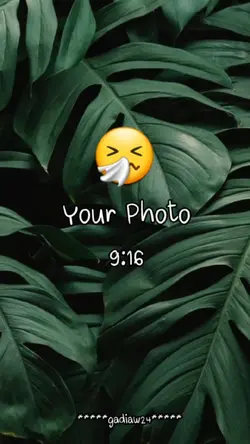 ตามจังหวะ