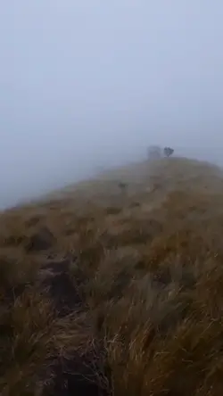 Prank Di Merbabu