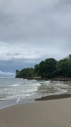 mentahan video
