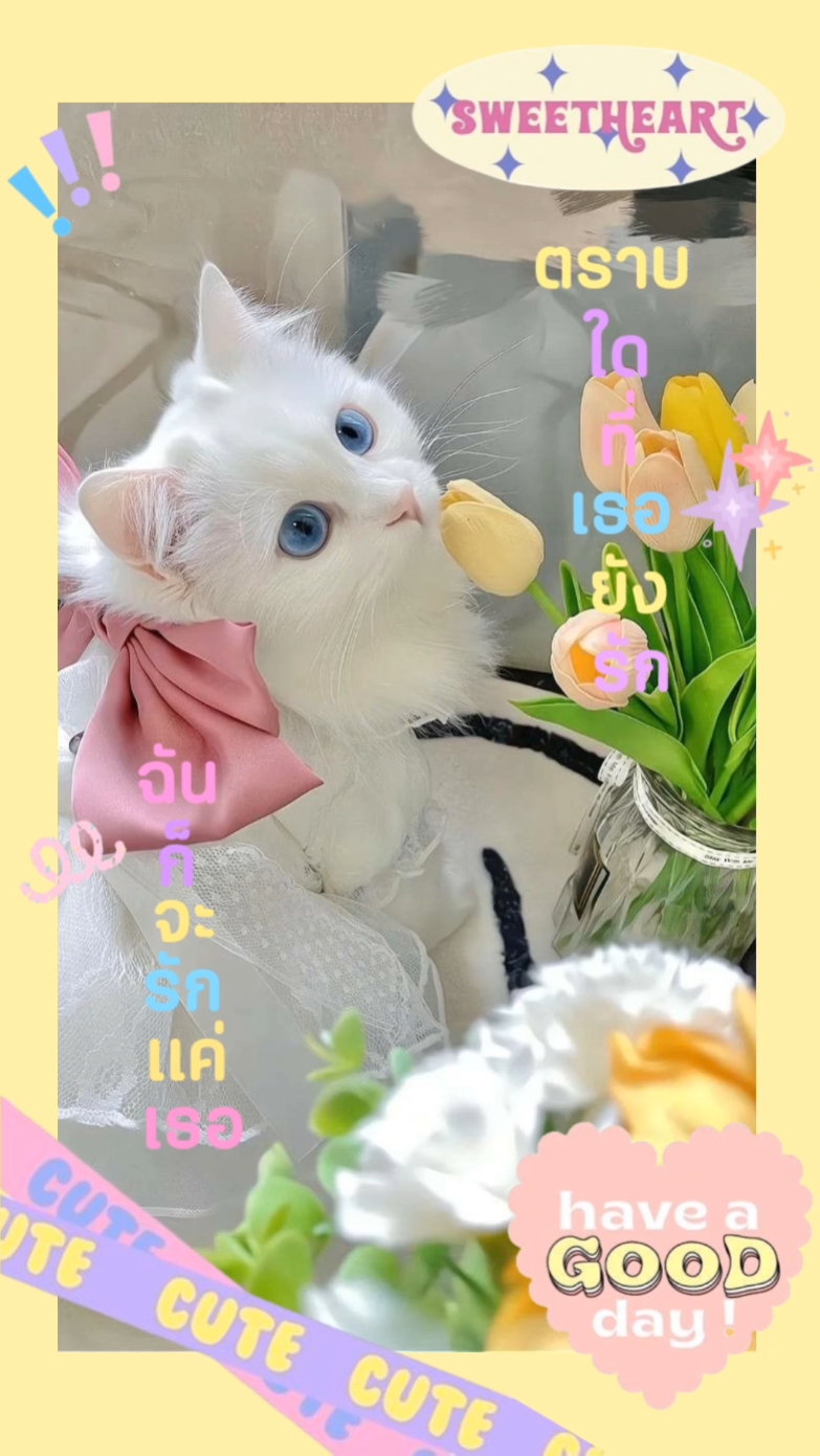 ::