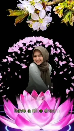 good night