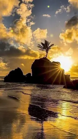 3 รูป เพลงเพราะ