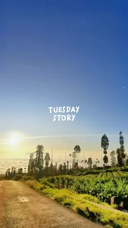 tuesday story random