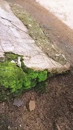 CinematicPemandangan