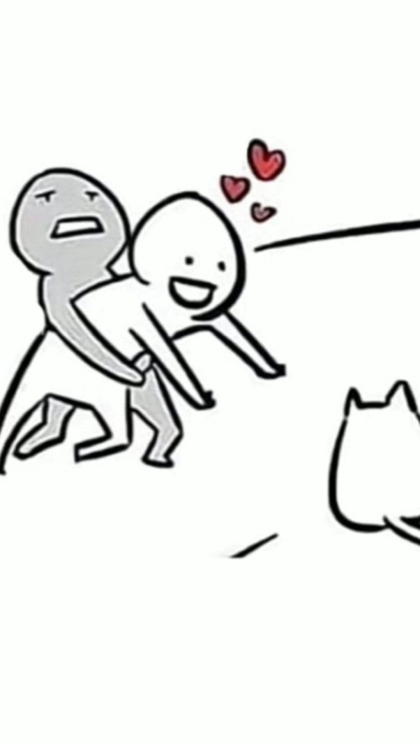 Amante De Gatos