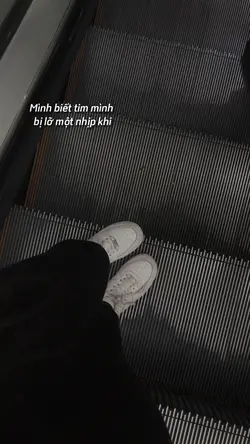Mình biết tim mình..