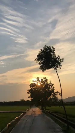 1video