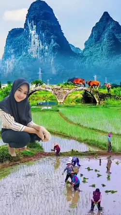 Gadis Di Sawah