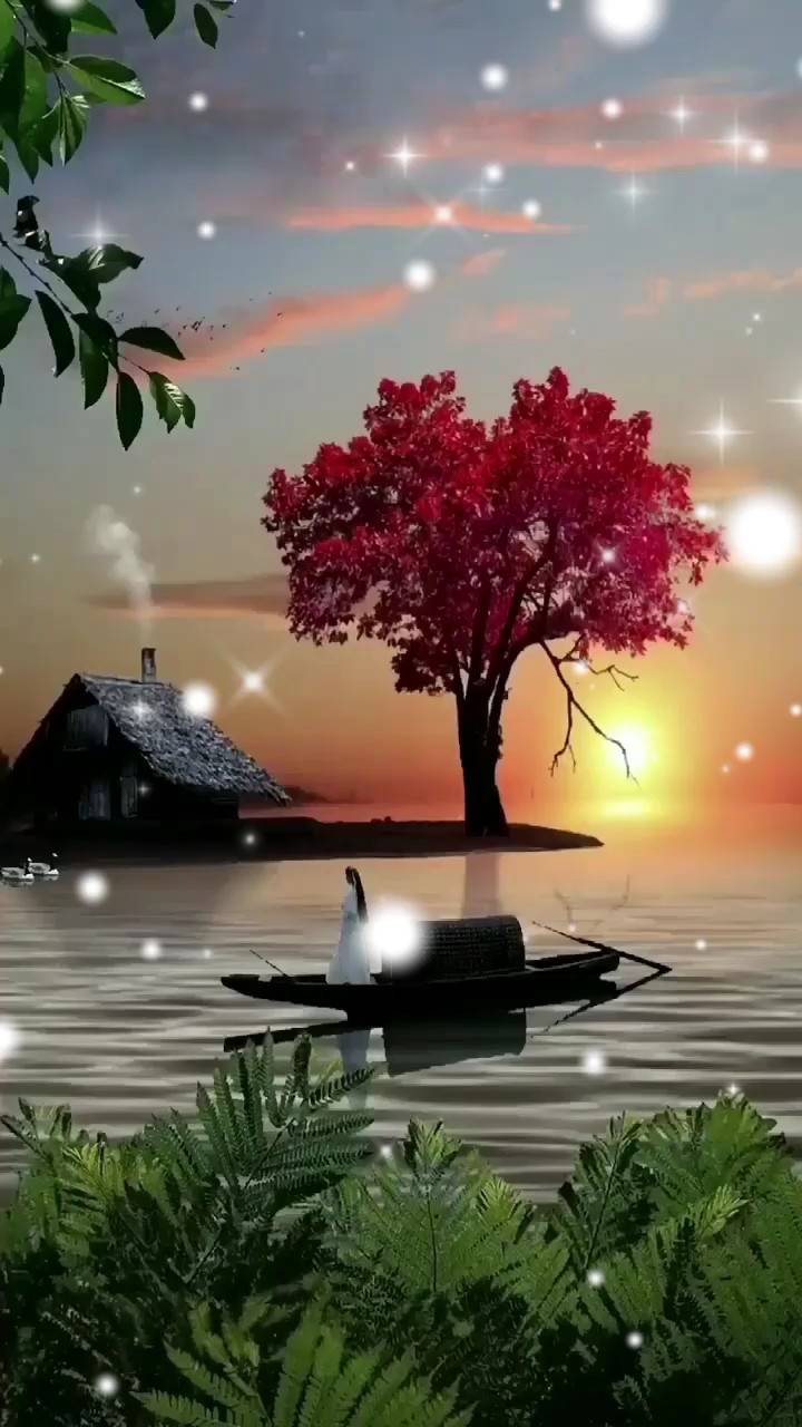 My Destiny