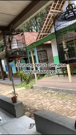 Ku bukan dokter 