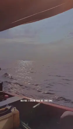 video x foto estetik